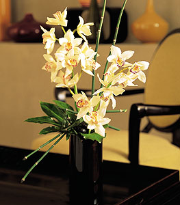  Manisa online ieki , iek siparii  cam yada mika vazo ierisinde dal orkide