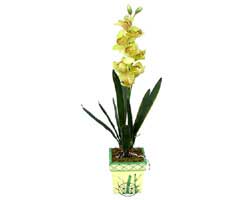 zel Yapay Orkide Sari  Manisa online iek gnderme sipari 