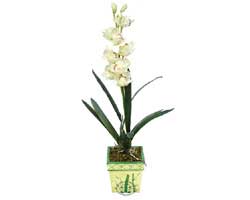 zel Yapay Orkide Beyaz   Manisa iek siparii vermek 