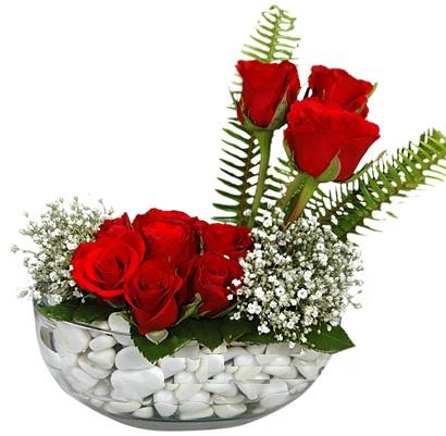 cam içerisinde 9 adet kirmizi gül  Manisa İnternetten çiçek siparişi 