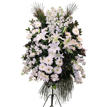  Manisa çiçek yolla  Ferforje beyaz renkli kazablanka