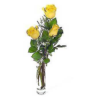  Manisa çiçek yolla , çiçek gönder , çiçekçi   3 adet kalite cam yada mika vazo gül