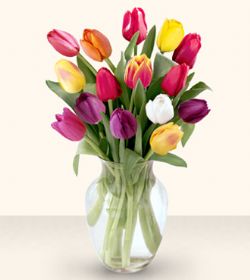  Manisa online çiçekçi , çiçek siparişi  13 adet cam yada mika vazoda laleler
