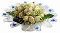cam günes ve dolunay bembeyaz  Manisa çiçek online çiçek siparişi 