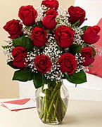 Sevgilime hediye 9 adet 1.ci kalite gül  Manisa çiçek , çiçekçi , çiçekçilik 