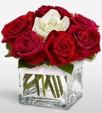 Tek aşkımsın çiçeği 8 kırmızı 1 beyaz gül  Manisa çiçekçi telefonları 