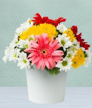 Seramik Vazoda Gelbera ve Papatya  Manisa 14 şubat sevgililer günü çiçek 