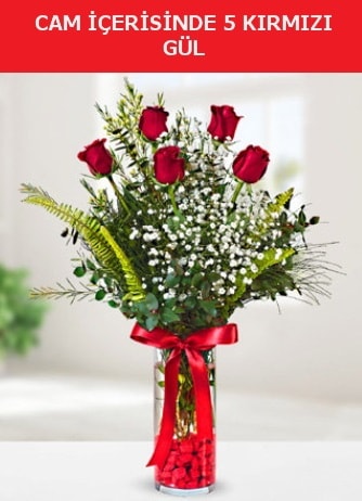 Cam içerisinde 5 adet kırmızı gül  Manisa güvenli kaliteli hızlı çiçek 