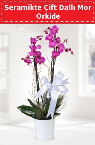 Seramikte Çift Dallı Mor Orkide  Manisa çiçek , çiçekçi , çiçekçilik 